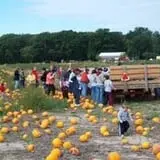 Lendt's Pumpkin Patch photo