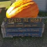 Lendt's Pumpkin Patch photo