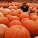 Lendt's Pumpkin Patch photo