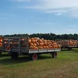 Lendt's Pumpkin Patch photo