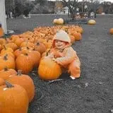 Lendt's Pumpkin Patch photo