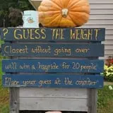 Lendt's Pumpkin Patch photo