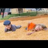 Wise Acres photo