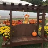 Wise Acres photo