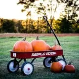 Wise Acres photo