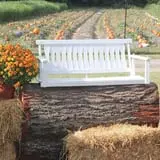 Wise Acres photo
