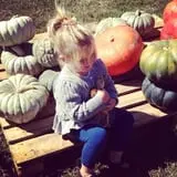 Wise Acres photo