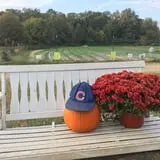 Wise Acres photo