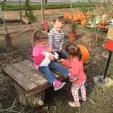 Wise Acres photo