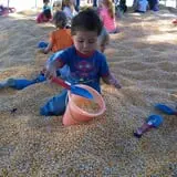 Wise Acres photo