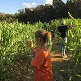 Wise Acres photo