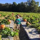 Wise Acres photo
