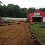 Wise Acres photo