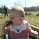 Wise Acres photo