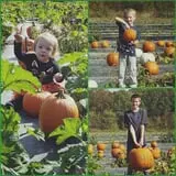 Wise Acres photo