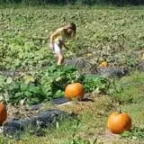 Wise Acres photo