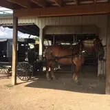Hershberger's Farm and Bakery photo