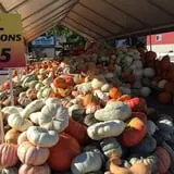 Hershberger's Farm and Bakery photo