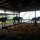 Hershberger's Farm and Bakery photo
