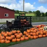 Hershberger's Farm and Bakery photo