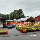 Hershberger's Farm and Bakery photo