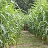Hall Family Farm photo