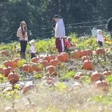 Hall Family Farm photo