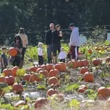 Hall Family Farm photo
