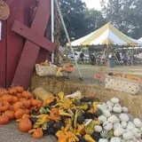 Hall Family Farm photo