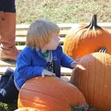 Hall Family Farm photo
