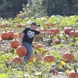 Hall Family Farm photo