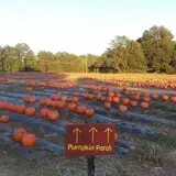 Hall Family Farm photo