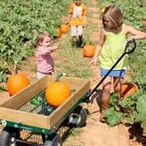 Hall Family Farm photo