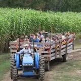 Hall Family Farm photo