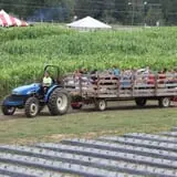 Hall Family Farm photo