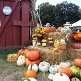 Hall Family Farm photo