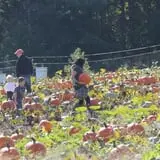Hall Family Farm photo