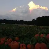 Hall Family Farm photo