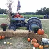 Hall Family Farm photo