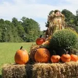 Hall Family Farm photo