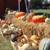Hall Family Farm photo