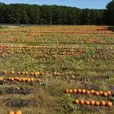 Hall Family Farm photo