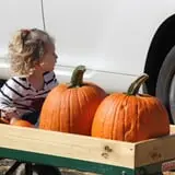 Hall Family Farm photo