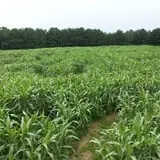 Hall Family Farm photo