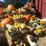 Hall Family Farm photo