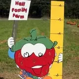 Hall Family Farm photo