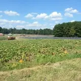 Hall Family Farm photo