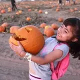 Mesilla Valley Maze photo