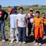 Mesilla Valley Maze photo