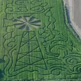 Mesilla Valley Maze photo